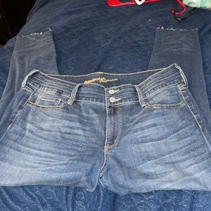 Plus Size Jeans